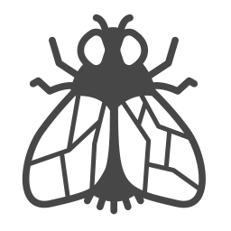 Insect icon