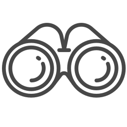 Binoculars icon