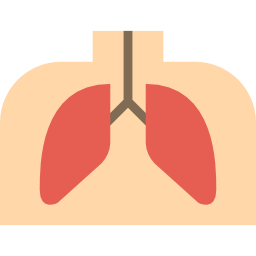 Lungs icon