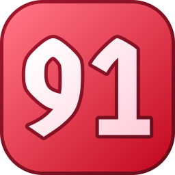 91 Ícone