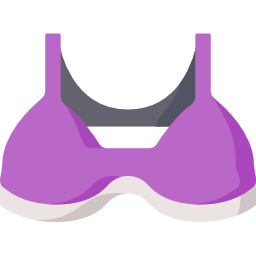 Bra icon