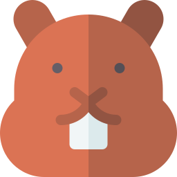 Groundhog icon