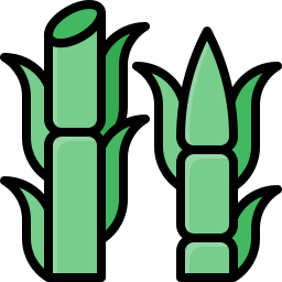 Sugar cane icon