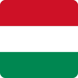 flagge icon