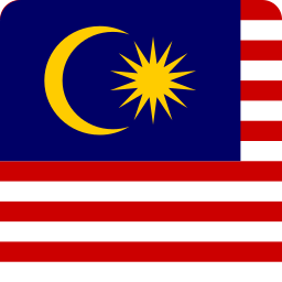 Flag icon