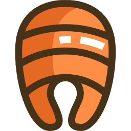 Salmon icon