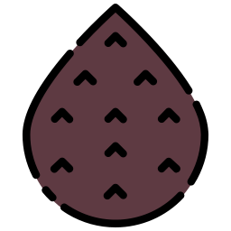 Fruit icon