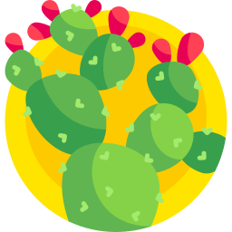 Nopal icon