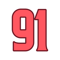 91 Ícone