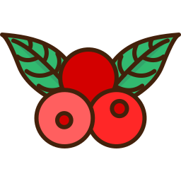 beeren icon