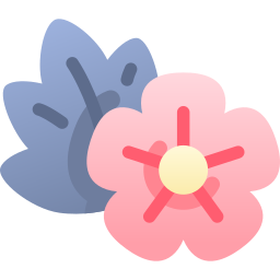 Cherry blossom icon