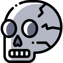 Skull icon