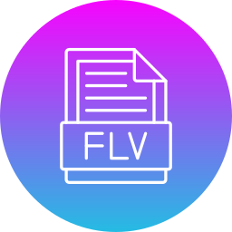 flv icon