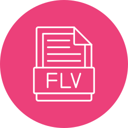 Flv icon