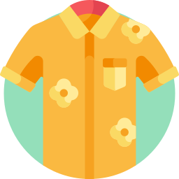 Shirt icon