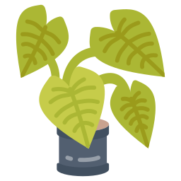 熱帯植物 icon