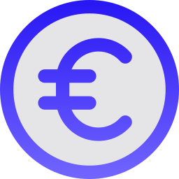 Euro icon