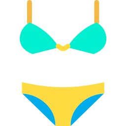 bikini icoon