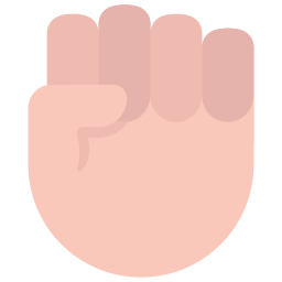 protest icon