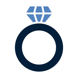 ring icon