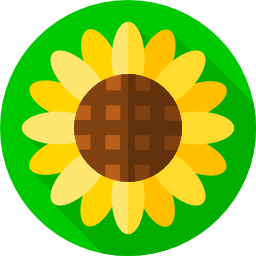 Sunflower icon