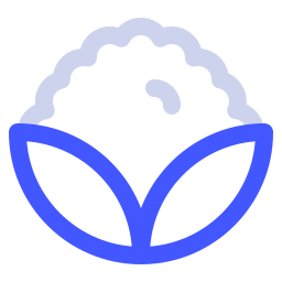 Cauliflower icon