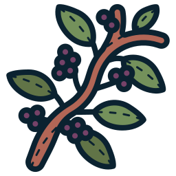 Coffee plant icon