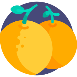 Orange icon