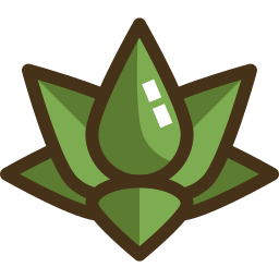 lotus icon