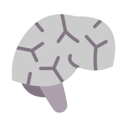 Brain icon