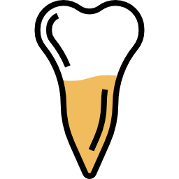 Premolar icon