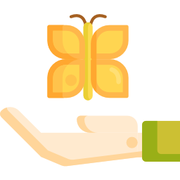 schmetterling icon