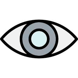 Eye icon