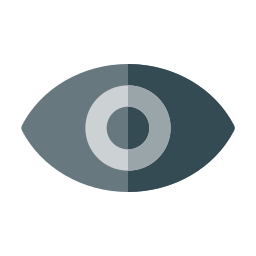 Eye icon