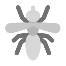 Insect icon