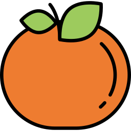 Orange icon