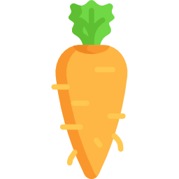 Carrot icon