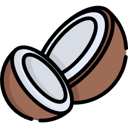 Coconut icon