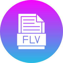 flv icon