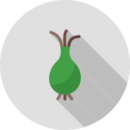 Pepper icon