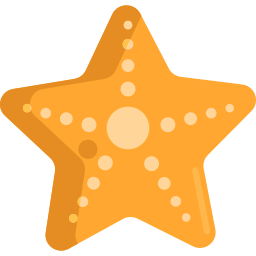 Starfish icon