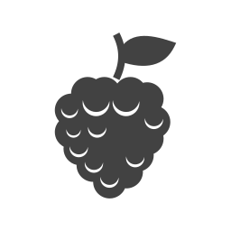 Fruit icon