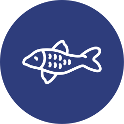 Koi fish icon