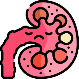 pyelonephritis icon