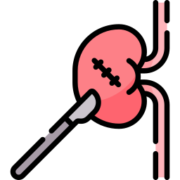 cirurgia renal Ícone