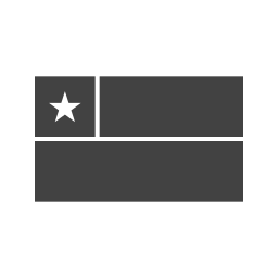 Flag icon