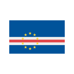 vlag icoon