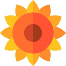 Sunflower icon