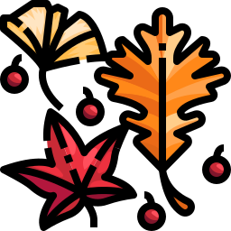 Leaf icon