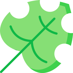 Leaf icon